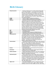 Birth Glossary