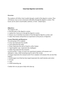 Gulp Gulp Digestion Lab Activity Overview: The students will follow