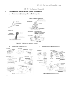 II. Ascomycota Foliar Disease: Hardwoods
