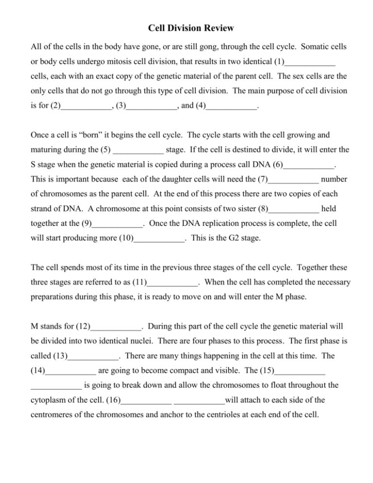 Cell Division Review