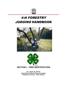 Tree ID Manual