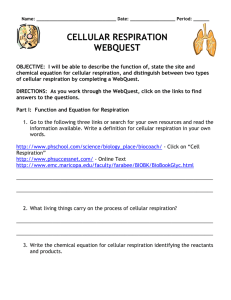 Cellular Respiration Webquest