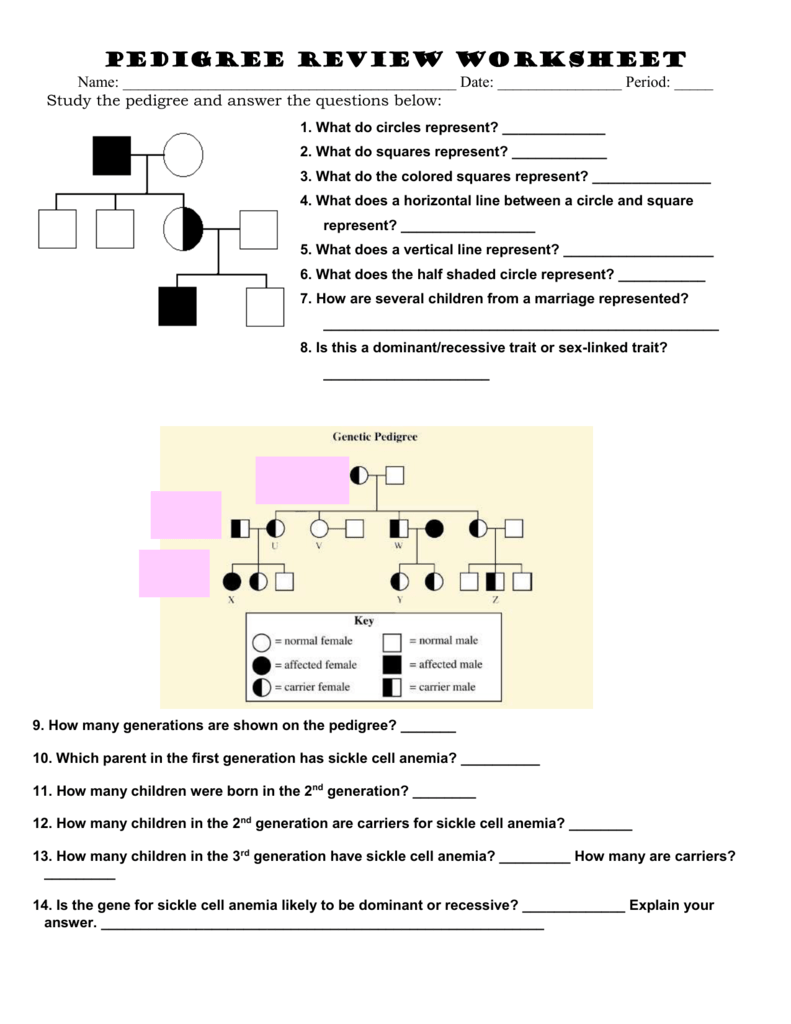 Answer Key Pedigree Worksheet / Pedigree Charts Worksheet Answer Key