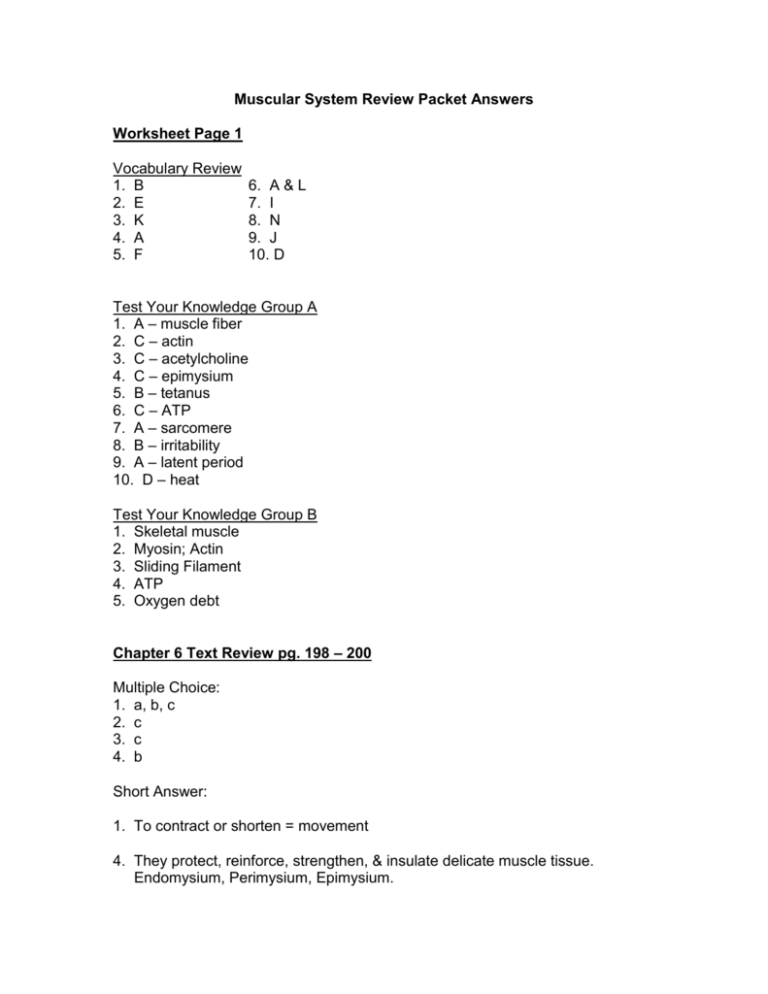 Chapter 6 The Muscular System Answers GustavoGargiulo Free Scientific 