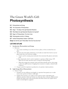 Ch08Photosynthesis