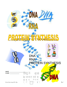 Difference between RNA and DNA