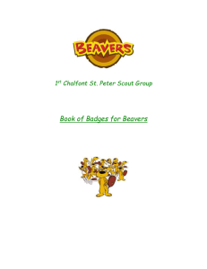 The Beaver Scout Membership Award