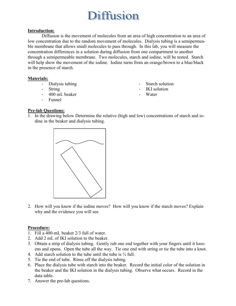 lab 6 diffusion experiment 2 answers