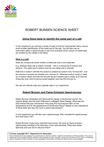Bunsen science sheet