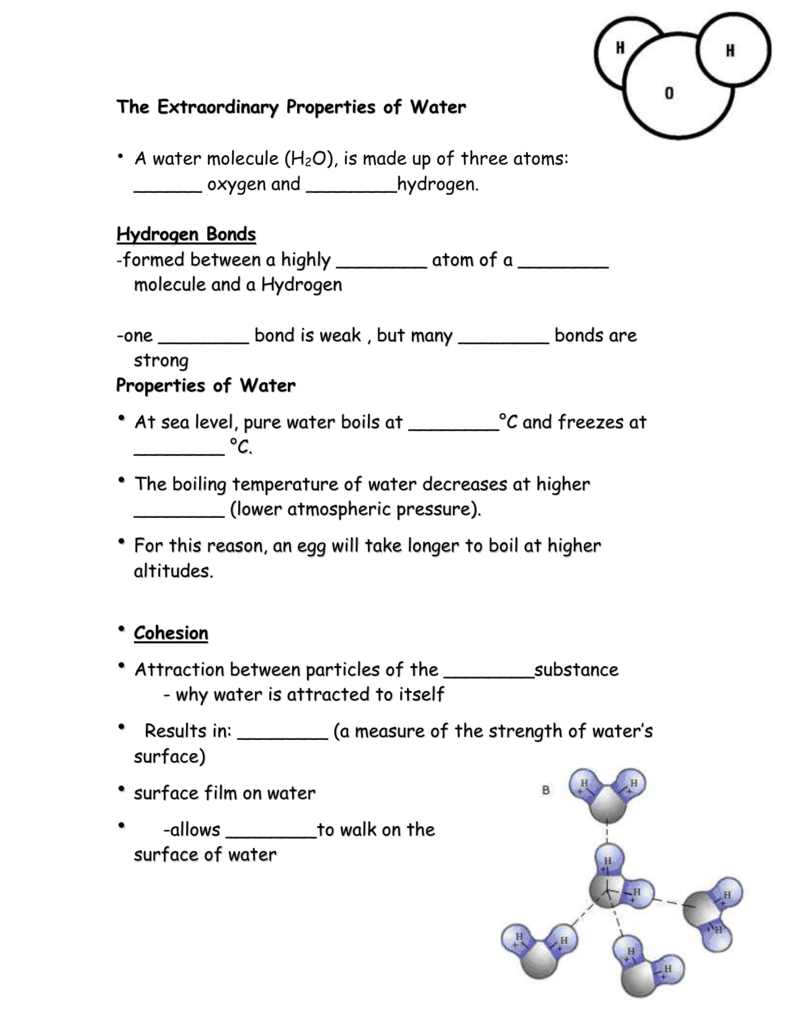 Properties Of Water Worksheet Answers