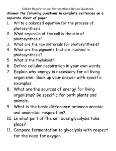Cellular Respiration Questions: