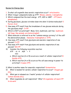 Review for Energy Quiz