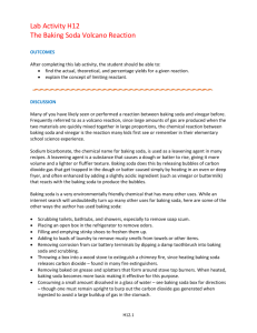 Lab Activity H12 The Baking Soda Volcano Reaction OUTCOMES