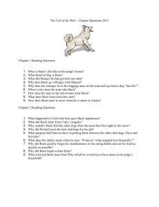 The Call of the Wild – Chapter Questions 2013 Chapter 1 Reading