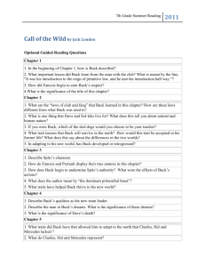 Optional Guided Reading Questions