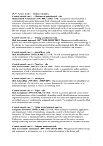 PO9 Assess Risks