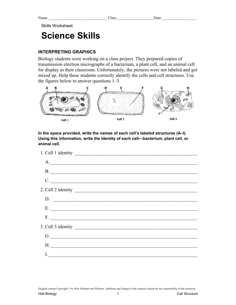 Skills Worksheet Inside Science Skills Worksheet Answer Key