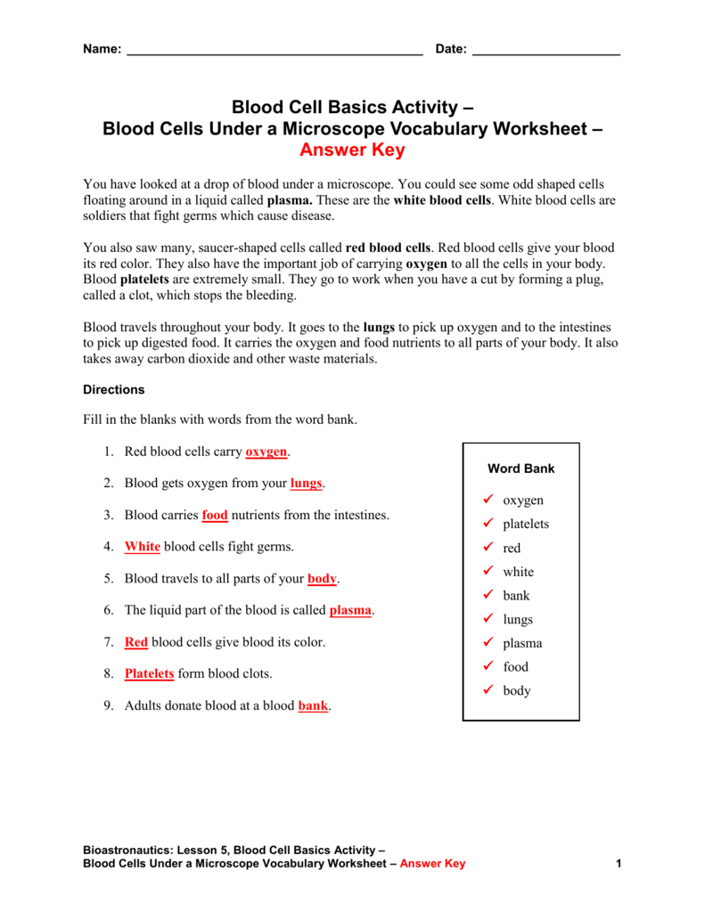 functions-of-blood-cells-worksheet-answers