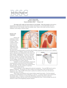 pw-Rotator-Cuff-Impingement - Boston Sports & Shoulder Center