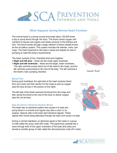 Patient assessment - American Heart Association