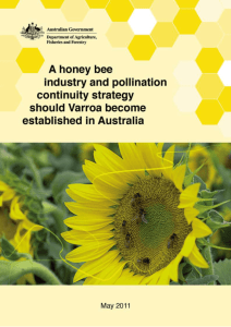 A honey bee industry and pollination continuity strategy should