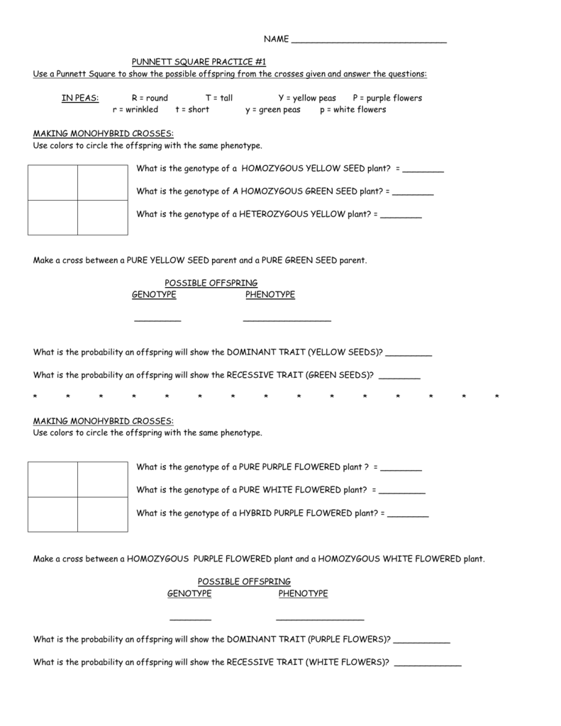 punnett-square-practice-worksheet-answers