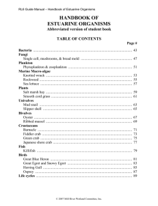 RL6 Guide Manual – Handbook of Estuarine Organisms