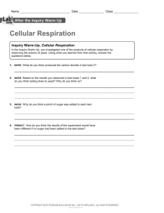 Name Date Class Cellular Respiration 1. infer What do you think