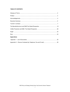 EMS Policy and Strategy Working Group