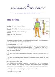 The Spine - McMahon Goldrick Solicitors