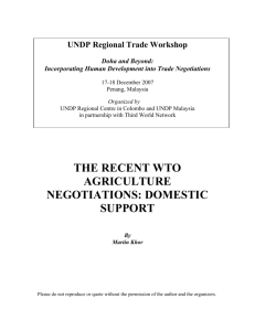 the recent wto agriculture negotiations: domestic support