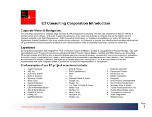 E3 Consulting Corporation Introduction