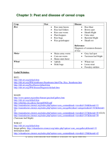 Chapter 3 - CNR WEB SITE