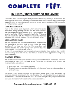 Ankle-Injuries - Complete Feet