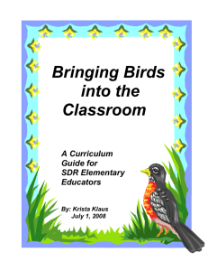 Bringing Birds Into the Classroom Elementary Curriculum