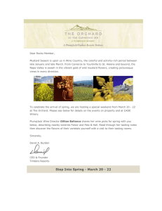 March 2009 Newsletter - The Rocks Luxury Residence Club