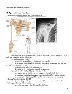 Book Notes Chapter 5 The Skeletal System p115