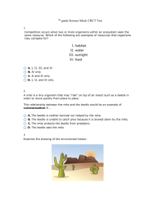 7th grade Science Mock CRCT Test