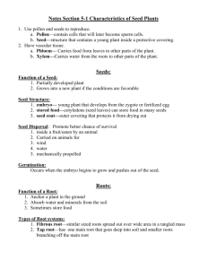 Notes Section 5-1 Characteristics of Seed Plants - mrs