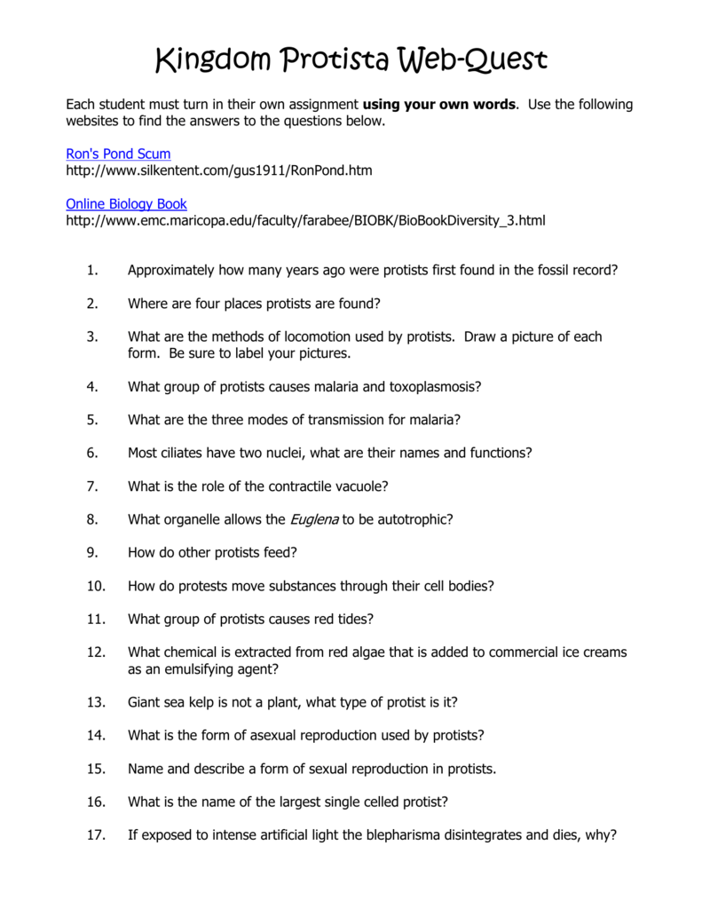 Protist And Fungi Worksheet Answer Key Doeco