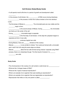 Cell Division Notes/Study Guide - A cell spends most its life time in a
