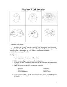 Classroom Cell Division Packet