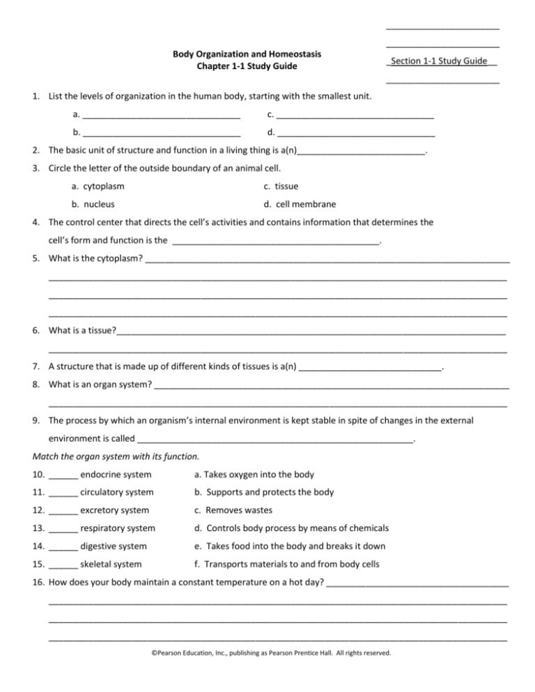 Human Biology And Health Worksheets