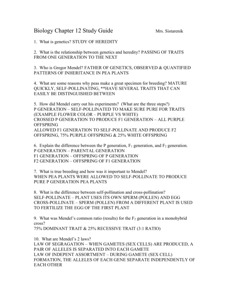 Biology Chapter 8 Study Guide Wood