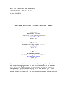 Privatization Matters: Bank Efficiency in Transition Countries