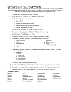Nervous System Test – STUDY GUIDE – You may use 1 handwritten