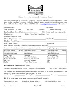 Eagle Scout Scholarship Information Form