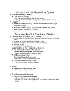 Introduction to the Respiratory System