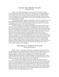 Water the Essence of Life Informational Sheet