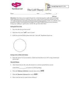 The Cell Theory Worksheet